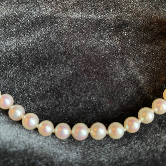 NWT-Cultured Akoya strand Pearl Necklace. Perfect for Christmas! - Picture 4 of 7